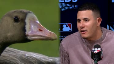 Machado discusses goose on field