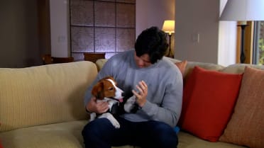 Ohtani celebrates with his dog