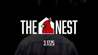 Coming March 17th