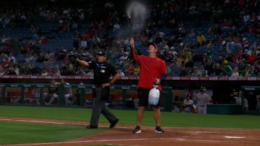 Mosquitos invaden el Angel Stadium