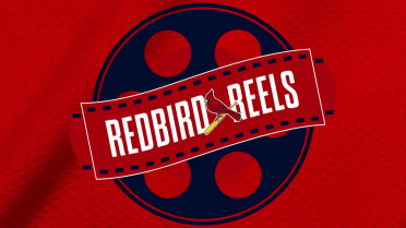 2026 Cardinals Highlights