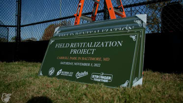 Field Revitalization Project #2