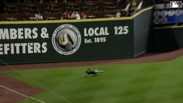 Josh Adamczewski's diving catch