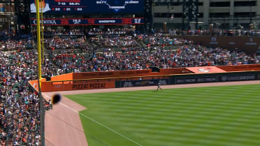 Ladybug takes a stroll on camera during home run
