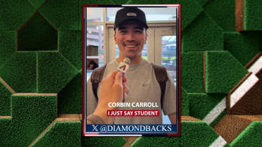 D-backs players' fake jobs to strangers