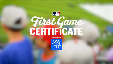 First Game Certificate: Speedway Classic 2025