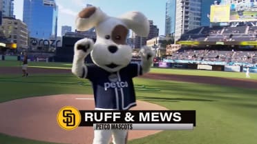 7/8/25 Honorary First Pitch