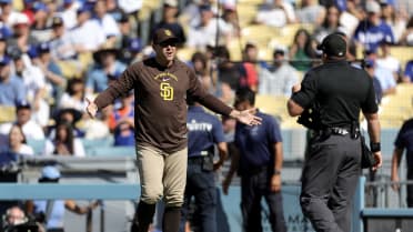 Craig Stammen and Ryan Goins ejected in the 1st