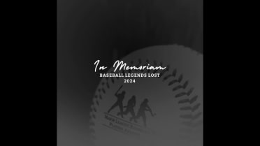 MLBPAA 2024 in memoriam
