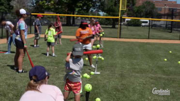 Redbird Rookies Softball Clinic