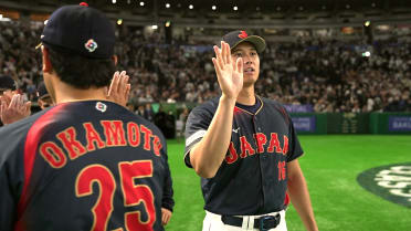 Ryuhei Sotani sella la victoria de Japón por 13-0