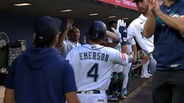 Colt Emerson's sac fly