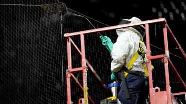 Bee delay occurs in Chase Field