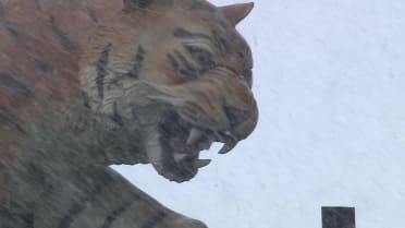 Wintry Conditions at Comerica Park