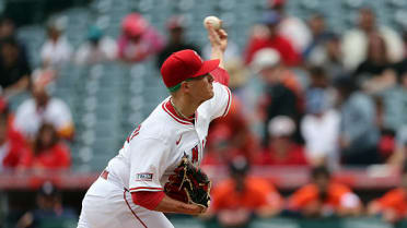 Sam Aldegheri poncha a Zach Cole