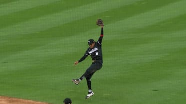 動画を再生