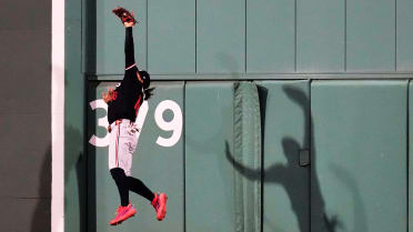 Austin Martin's great leaping catch