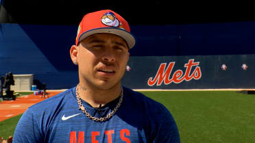 Francisco Alvarez on working with Williams, McLean