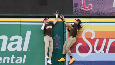 Gran atrapada de Merrill