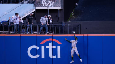 Francisco Alvarez hits a solo homer after review