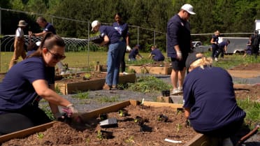 Braves hold Pitch In for the Planet volunteer event 