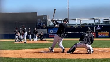 Max Fried strikes out Aaron Judge in live BP