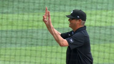 Call stands after replay review