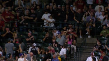Fan makes one-handed catch 