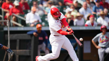 Yohel Pozo's solo home run