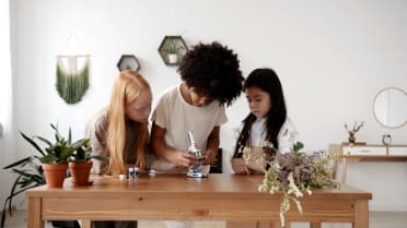 Young Environmental Consulting Group