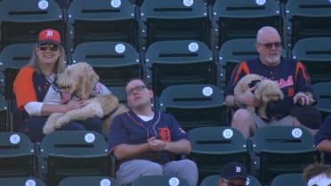 Tigers host Bark at the Park at Comerica Park