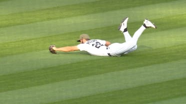Tristan Peters' WILD diving catch
