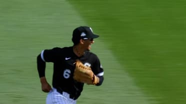 Braden Montgomery's diving play 