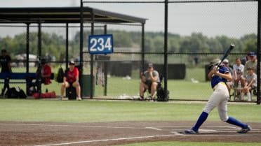 Minnesota Twins Girls Baseball 2026