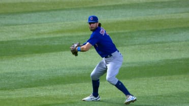 ジャスティン・スティール ベースボールダイジェスト