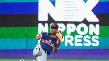 Bonita atrapada de Ceddanne Rafaela