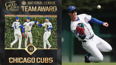 Cubs win 2025 NL Team Gold Glove Award