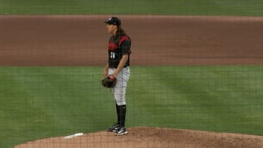 動画を再生
