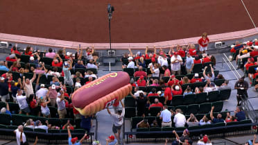 Busch Stadium's hot dog promotion
