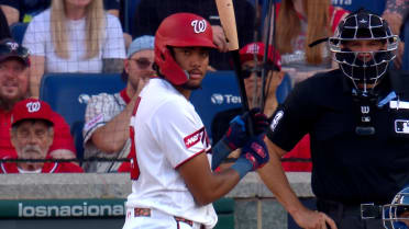 James Wood's sac fly