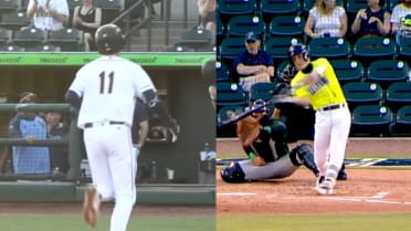 Watch Charleston RiverDogs and Columbia Fireflies