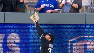 Dustin Harris' amazing home run robbery