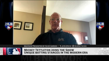 Mickey Tettleton on the Appalachian League, hitting