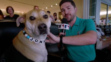 Viral dog Jonah makes appearance at loanDepot park