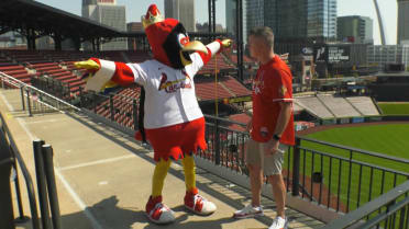 Super Fredbird!