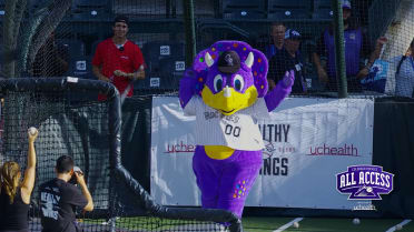 Swingin' for the Fences