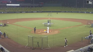 Manzardo's four homers in Round 2