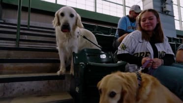 Brewers host Bark at the Park night 