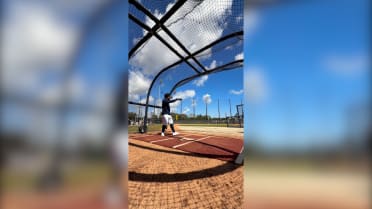 Jose Altuve takes batting practice at Spring Training