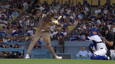 Dustin Harris is hit by the pitch after review